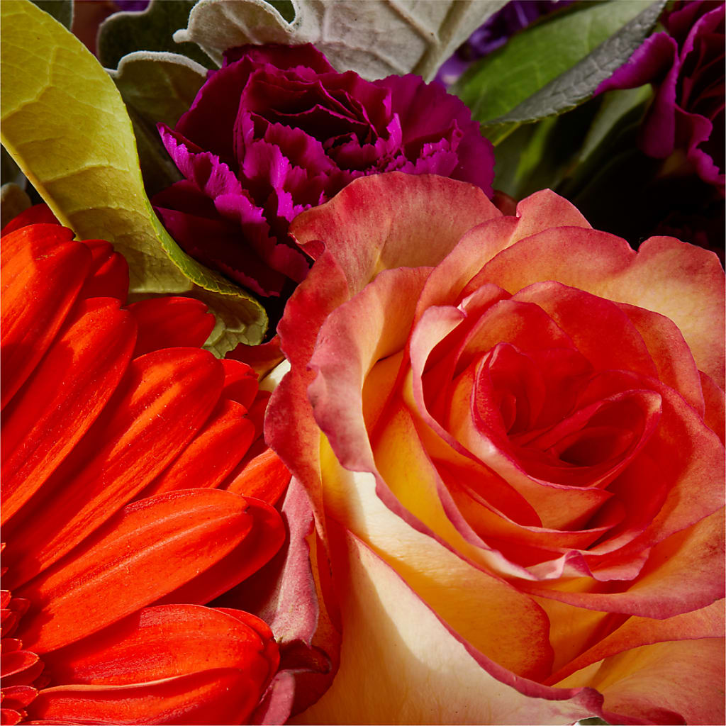 Sangria Bouquet –  Concord Flowers, Concord CA