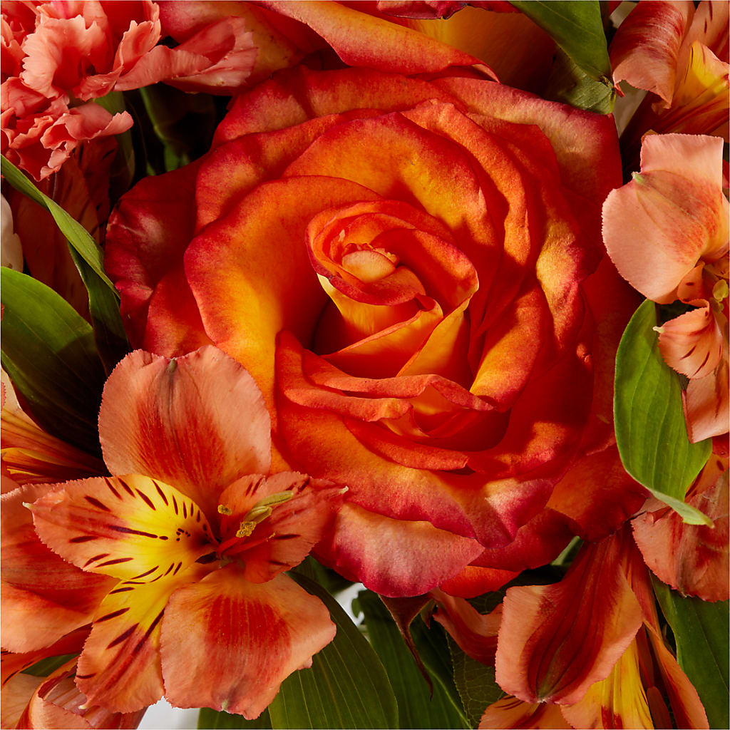 Apricot Glow Bouquet –  Concord Flowers, Concord CA