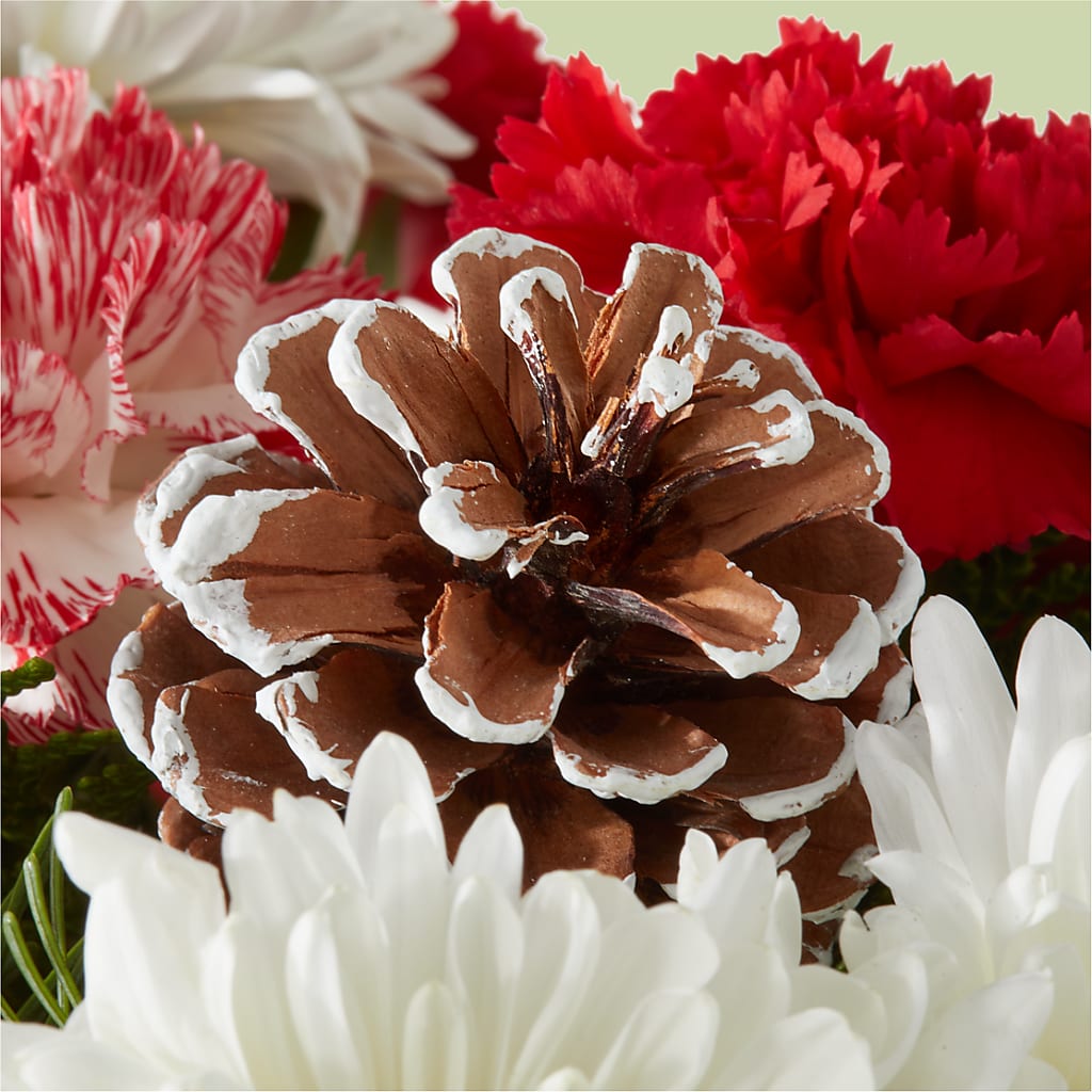 Candy Cane Lane Bouquet –  Concord Flowers, Concord CA