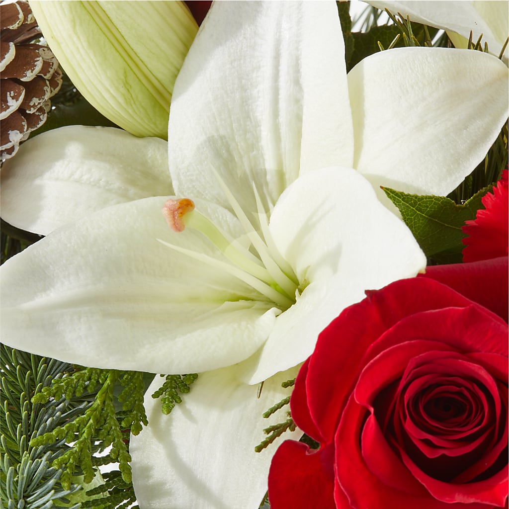Oh So Jolly Bouquet –  Concord Flowers, Concord CA