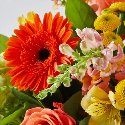 Autumn Sunshine Bouquet –  Concord Flowers, Concord CA
