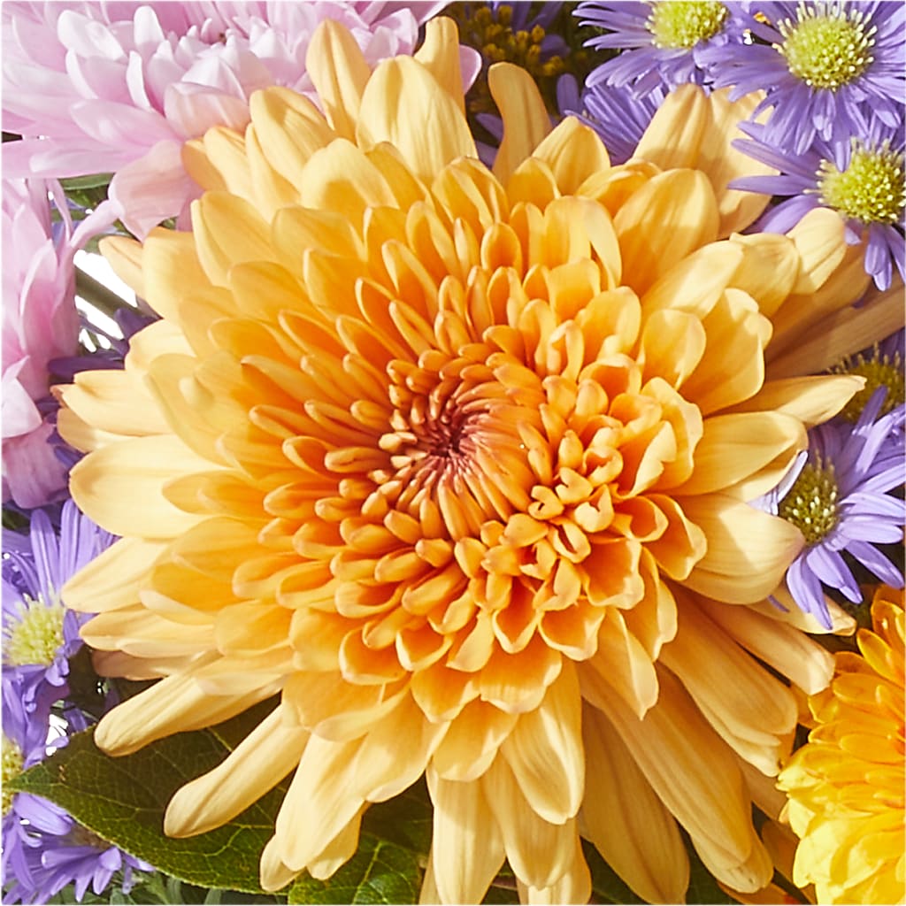 Countryside Bouquet –  Concord Flowers, Concord CA