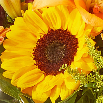 Seasons Change Bouquet –  Concord Flowers, Concord CA