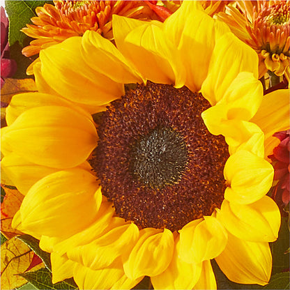 Sunny Side Bouquet –  Concord Flowers, Concord CA