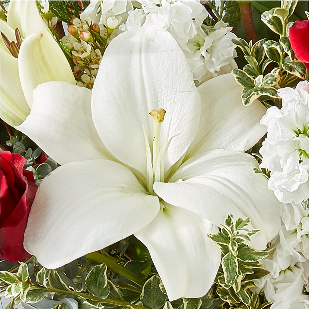 Twinkle Lights Bouquet –  Concord Flowers, Concord CA