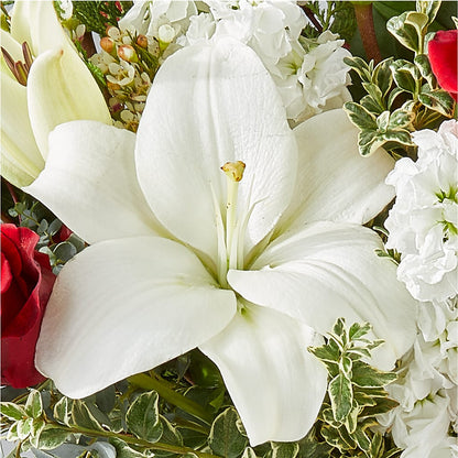 Twinkle Lights Bouquet –  Concord Flowers, Concord CA