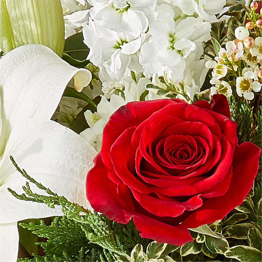 Twinkle Lights Bouquet –  Concord Flowers, Concord CA