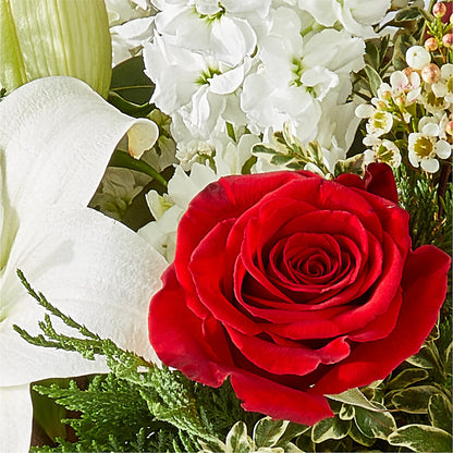 Twinkle Lights Bouquet –  Concord Flowers, Concord CA
