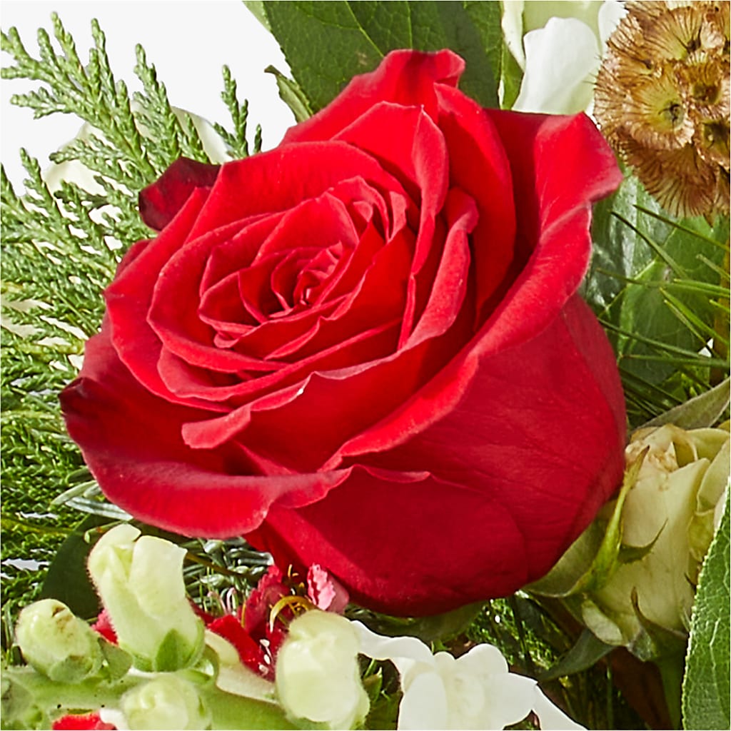 Deck the Halls Bouquet –  Concord Flowers, Concord CA
