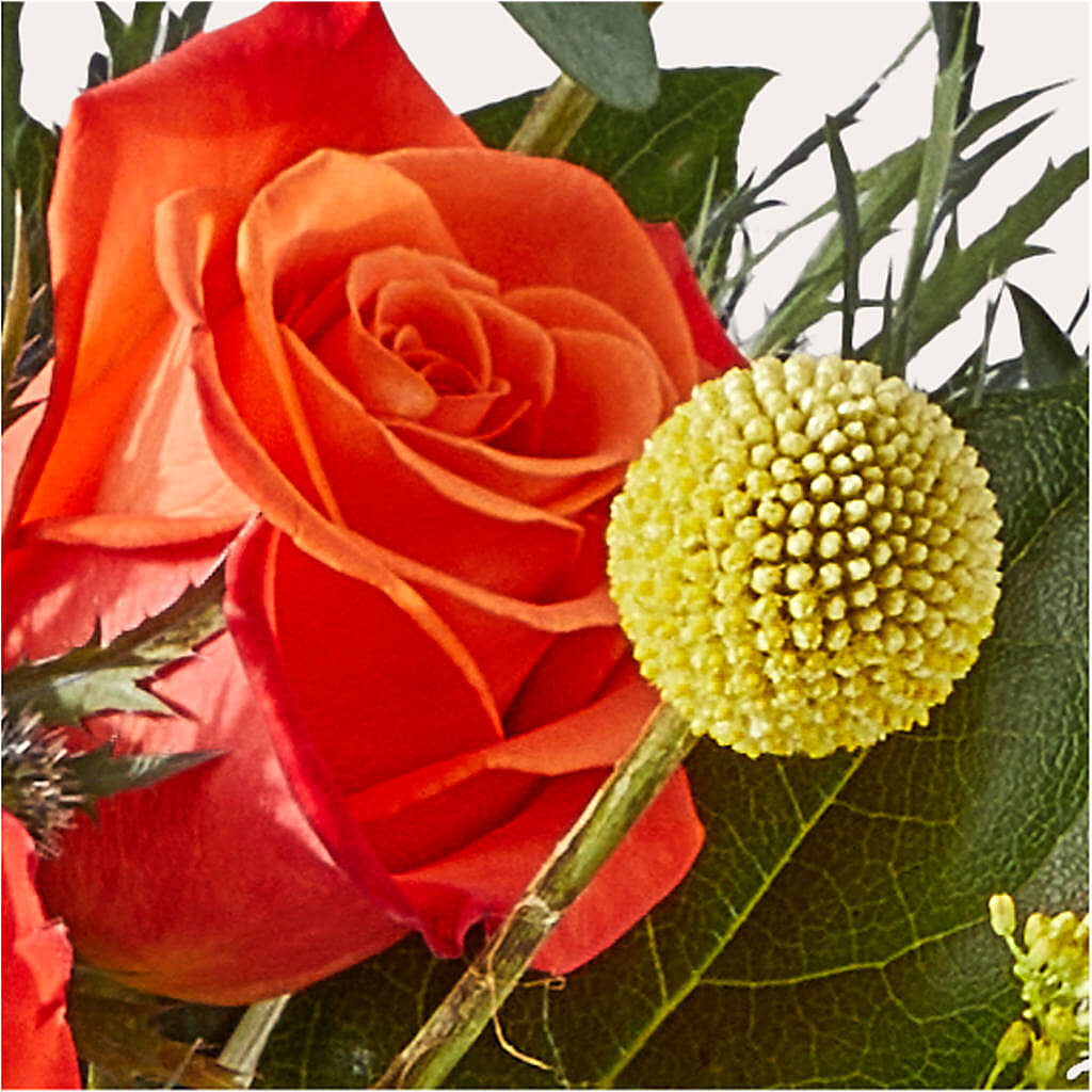 Disco Bouquet –  Concord Flowers, Concord CA