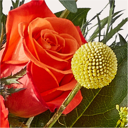 Disco Bouquet –  Concord Flowers, Concord CA