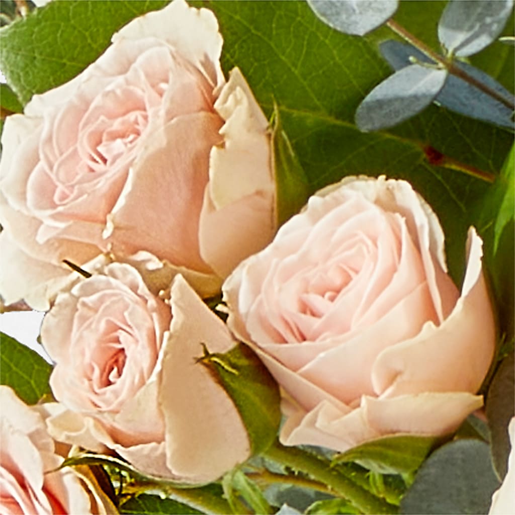 Inspired Bouquet –  Concord Flowers, Concord CA