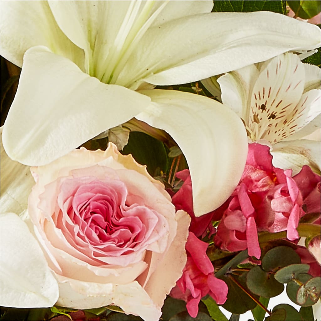 Ballet Slippers Bouquet –  Concord Flowers, Concord CA