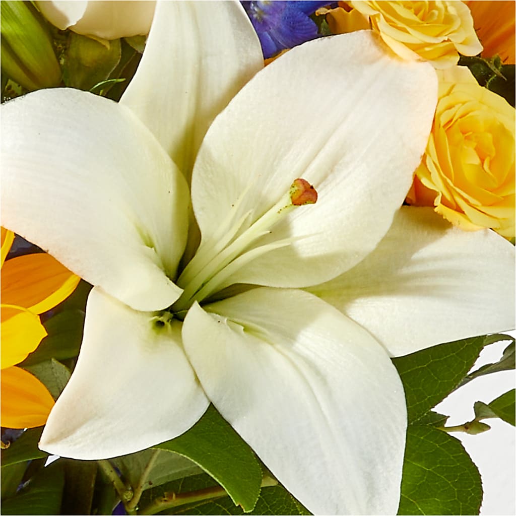 Wonderfully Sunny Bouquet –  Concord Flowers, Concord CA