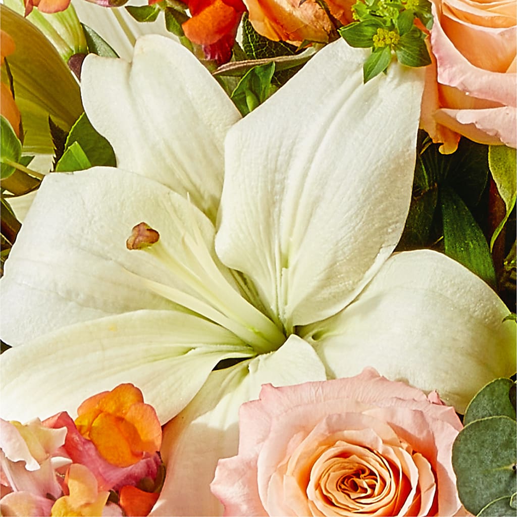 Grapefruit Splash Bouquet –  Concord Flowers, Concord CA