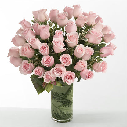 Pink Essence –  Concord Flowers, Concord CA