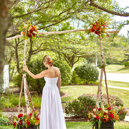Arbor of Love Archway –  Concord Flowers, Concord CA