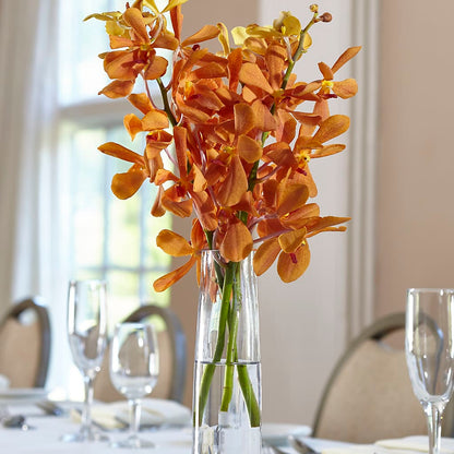 Orange Mokara Bud Vase –  Concord Flowers, Concord CA