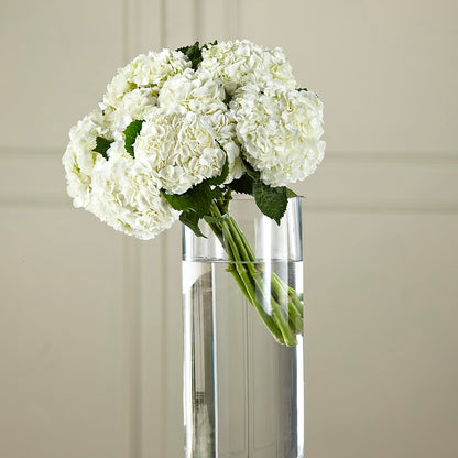 White Hydrangea Hand-Tied Bouquet –  Concord Flowers, Concord CA