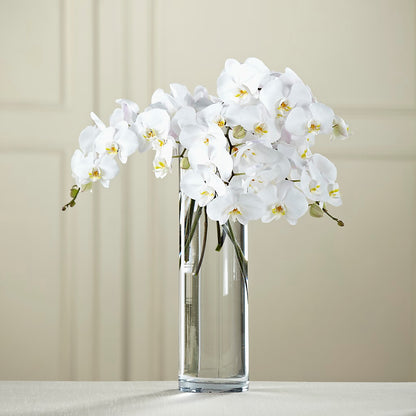 White Phalaenopsis Bouquet –  Concord Flowers, Concord CA