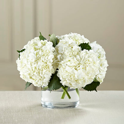 White Hydrangea Bouquet –  Concord Flowers, Concord CA
