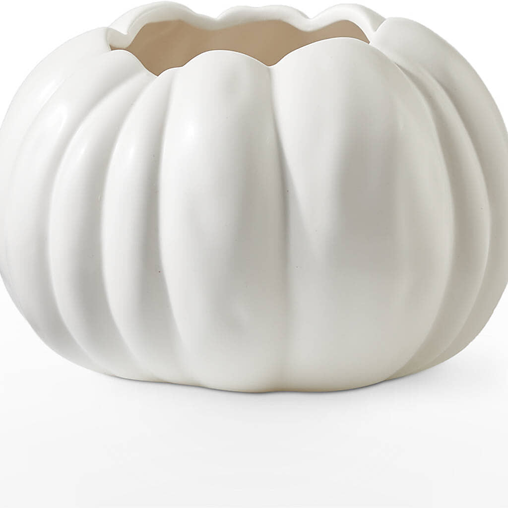Autumn Air Pumpkin Bouquet –  Concord Flowers, Concord CA